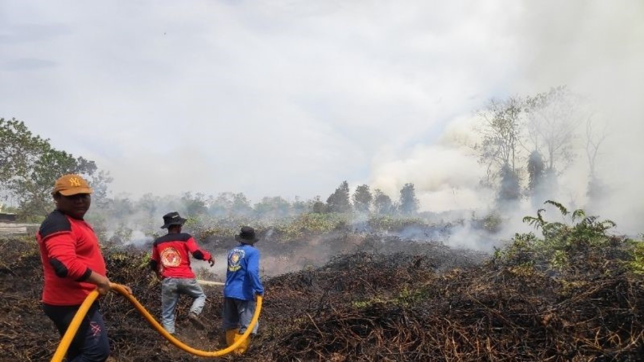 Arsip Foto. Petugas berusaha memadamkan lahan yang terbakar di Desa Kumpai Batu Atas, Kecamatan Arut Selatan, Kabupaten Kotawaringin Barat, Provinsi Kalimantan Tengah, Minggu (1/1/2023). (ANTARA/M Husein Asyari)