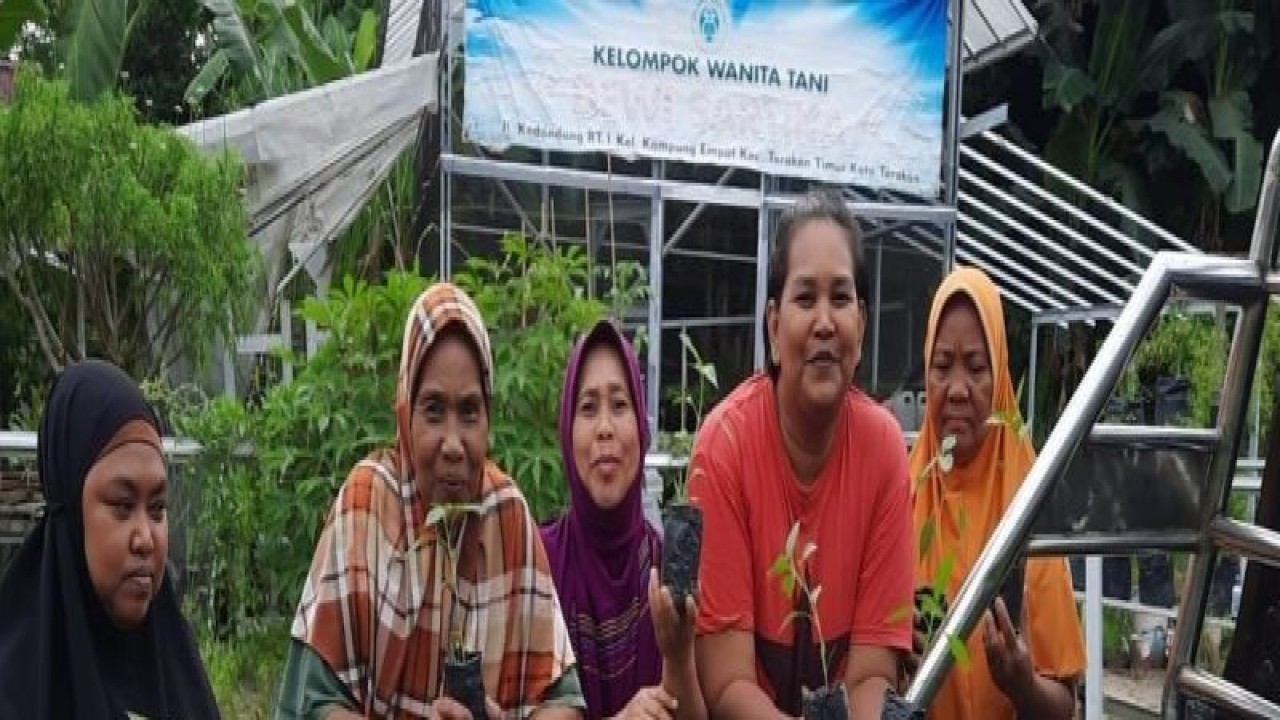 Anggota Kelompok Wanita Tani di Tarakan, Kaltara mendapatkan bibit cabai siap tanam dari Dinas Pertanian dan Ketahanan Pangan Provinsi Kaltara. (ANTARA/HO-DPKP Kaltara)