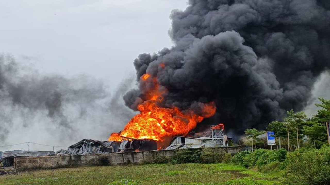 Situasi pabrik busa yang terbakar di Kabupaten Cirebon, Jawa Barat, Selasa (28/2/2023). (ANTARA/Khaerul Isan)