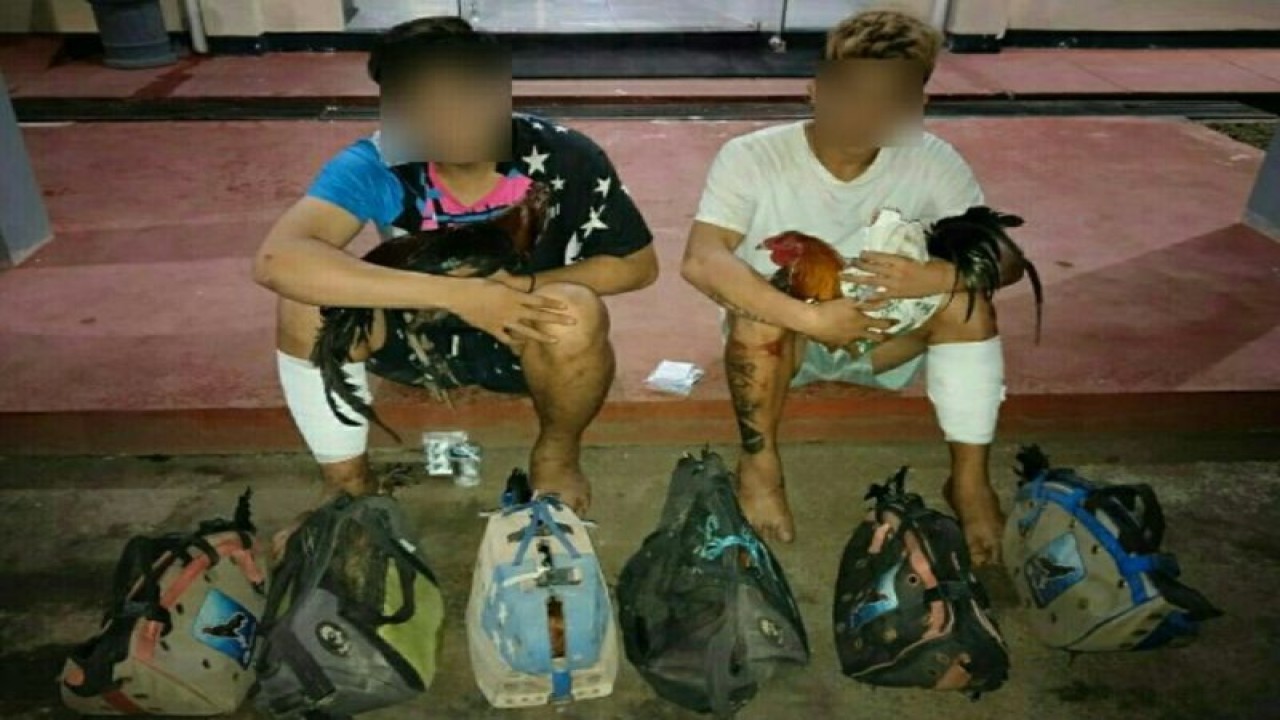 Kedua terduga pelaku bersama barang bukti. ANTARA/HO-Humas Polda Sulut