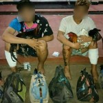 Kedua terduga pelaku bersama barang bukti. ANTARA/HO-Humas Polda Sulut-1677395556