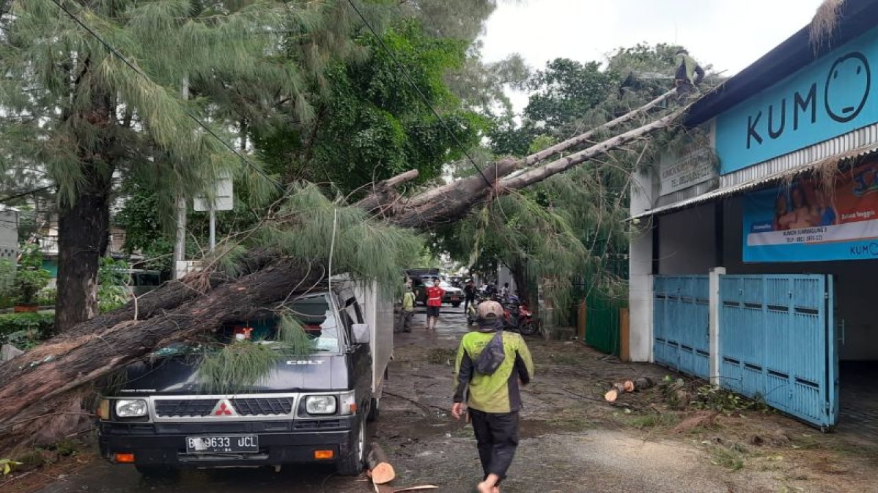 Bagian kap mobil ringsek karena pohon tumbang di Kelapa Gading, Jakarta Utara akibat hujan disertai angin kencang pada Kamis (9/2/2023). ANTARA/HO-Jurnalis Jakarta Utara