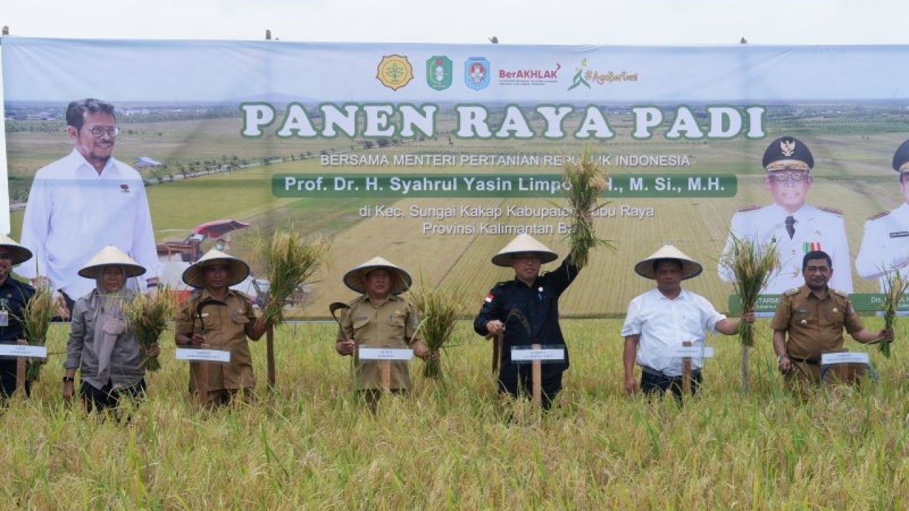 Direktur Pengolahan dan Pemasaran Hasil Tanaman Pangan (PPHTP) yang didampingi Kadis TPH Kabar serta pihak lainnya melakukan panen raya padi di Desa Pal IX, Kubu Raya. ANTARA/Dedi.