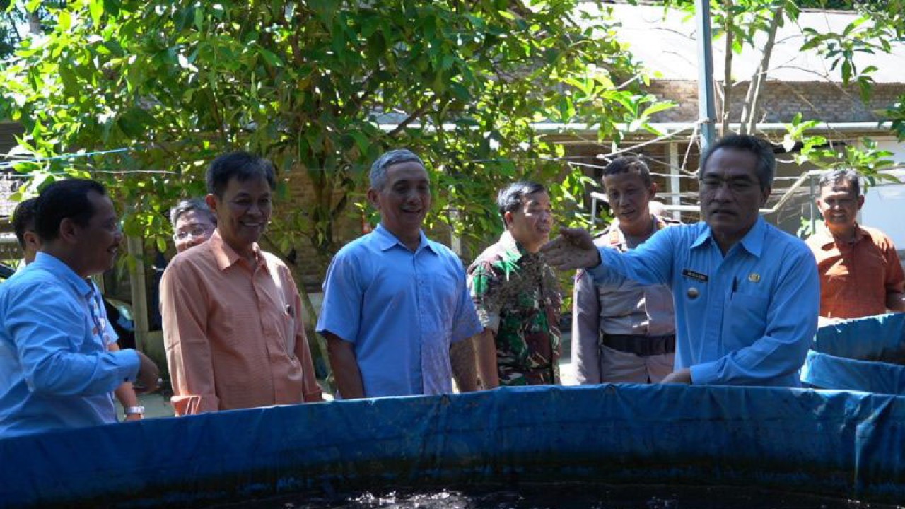Bupati Bantul Abdul Halim Muslih saat kunjungan kerja ke lokasi usaha budidaya ikan lele padat tebar di wilayah Kelurahan Tirtohargo, Srandakan, Kabupaten Bantul, Daerah Istimewa Yogyakarta, Selasa (21/2/2023) (ANTARA/HO-Humas Pemkab Bantul)