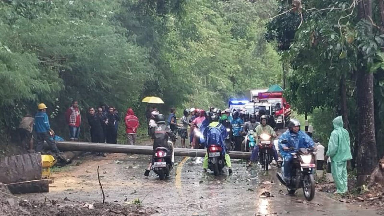 Tiang listrik milik PLN yang tumbang karena tergerus longsor di jalur wisata selatan Kabupaten Sukabumi yang menghubungkan Jalan Bagbagan dengan Jalan Kiaradua tepatnya di Kampung Cimapag, Desa Loji, Kecamatan Simpenan, Kabupaten Sukabumi, Jabar pada Selasa, (28/2/2023). ANTARA