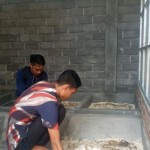 maggot-1676535415