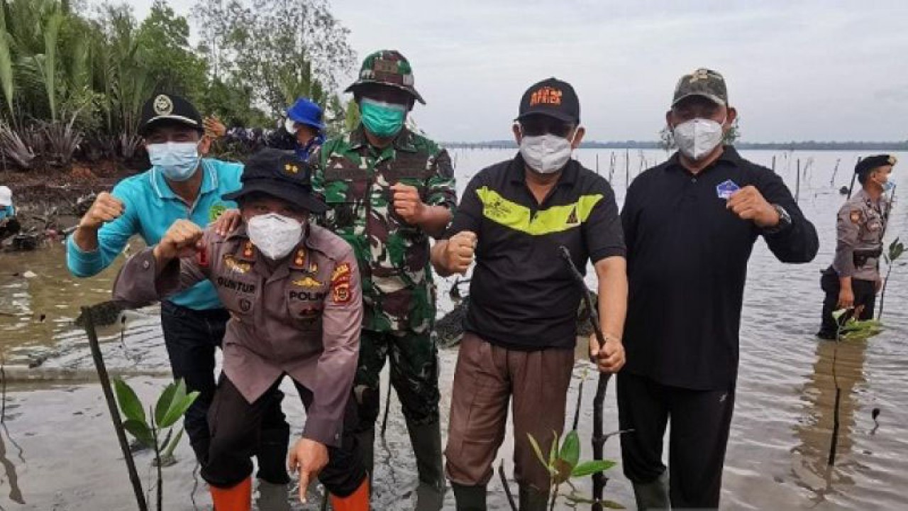 Lokasi magrove yang baru ditanami oleh Pemerintah Kabupaten Tanjungjabung Barat, Jambi, Rabu (22/2/23).(FOTO ANTARA/nanang mairiadi)