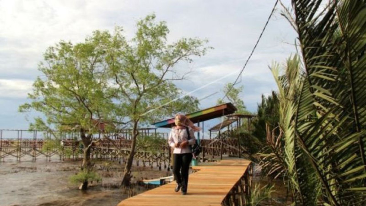 Kawasan Mangrove di Desa Sugai Kupah, Kecamatan Sungai Kakap, Kabupaten Kubu Raya (ANTARA/Dok)