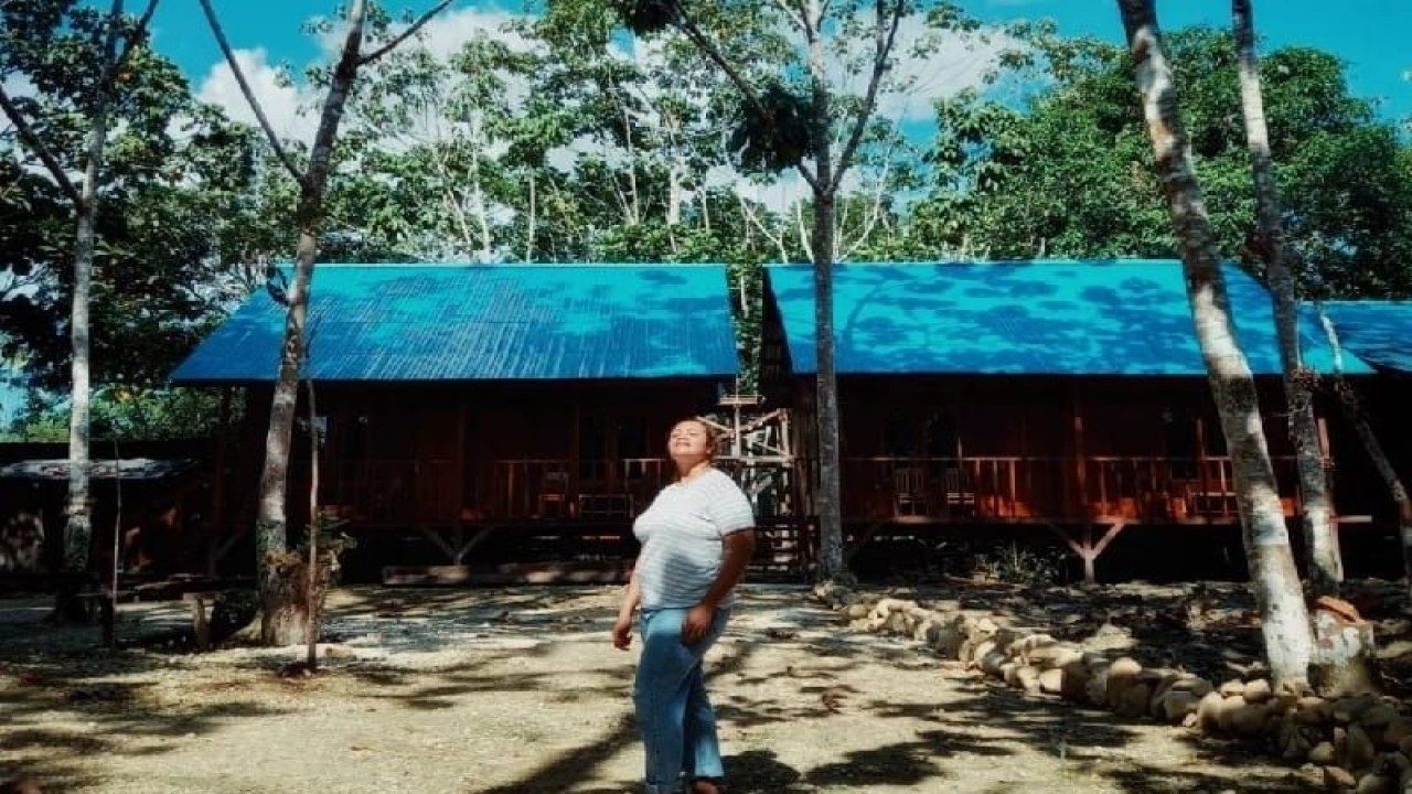 Tempat penginapan untuk mengamati burung cenderawasih di Isyo Hills, Kampung Rephang Muaif Distrik Nimbokrang, Kabupaten Jayapura, Papua. ANTARA/HO-Dok. Carolin Waisimon