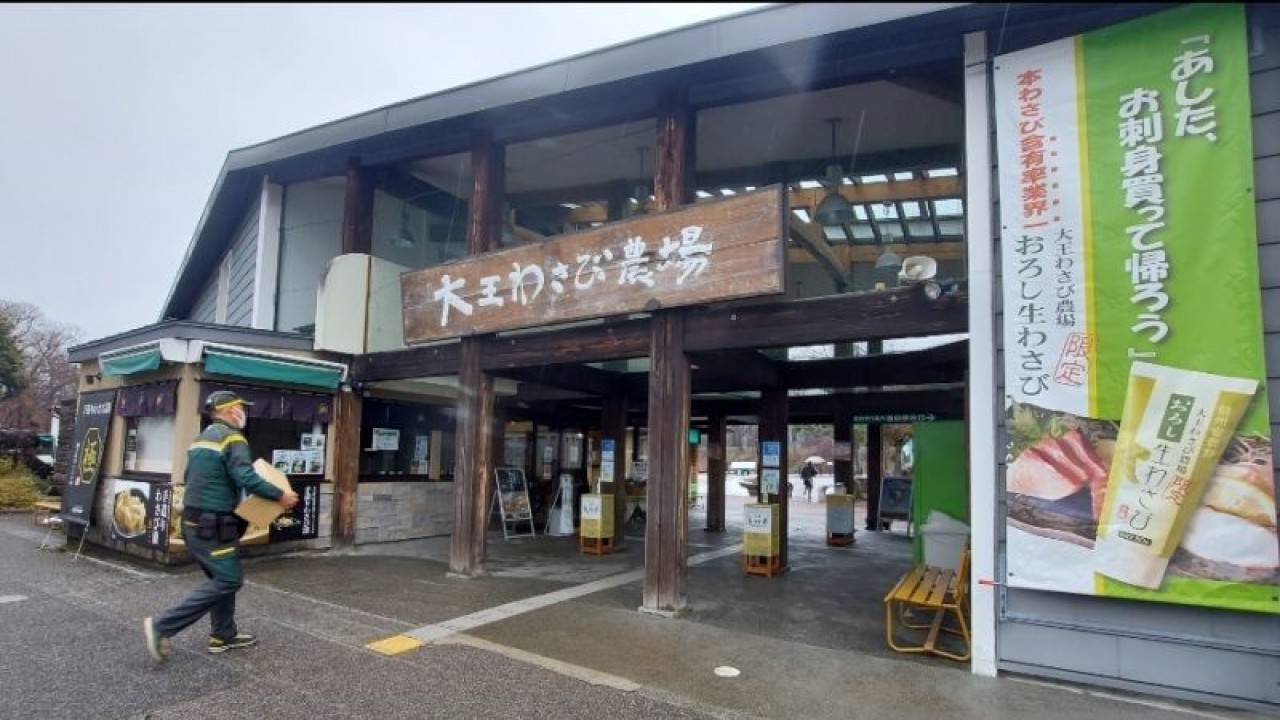 Seorang karyawan membawa barang ke tempat budidaya wasabi milik PT Dayo Wasabi Farm di Kota Azumino, Prefektur Nagano, Jepang, Minggu (19/2/2023). (ANTARA/Katriana)