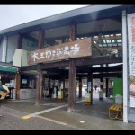 Mengenal lebih dekat wasabi Jepang-1677553948
