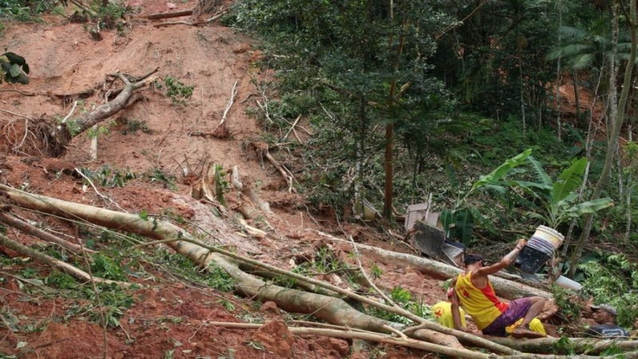 Arsip - Tanah longsor di lereng pegunungan Sierra de Mar, di dekat Barra do Sahy, sebuah pantai di Sao Sebastiao, Brazil. ANTARA/Xinhua. (ANTARA/Xinhua.)