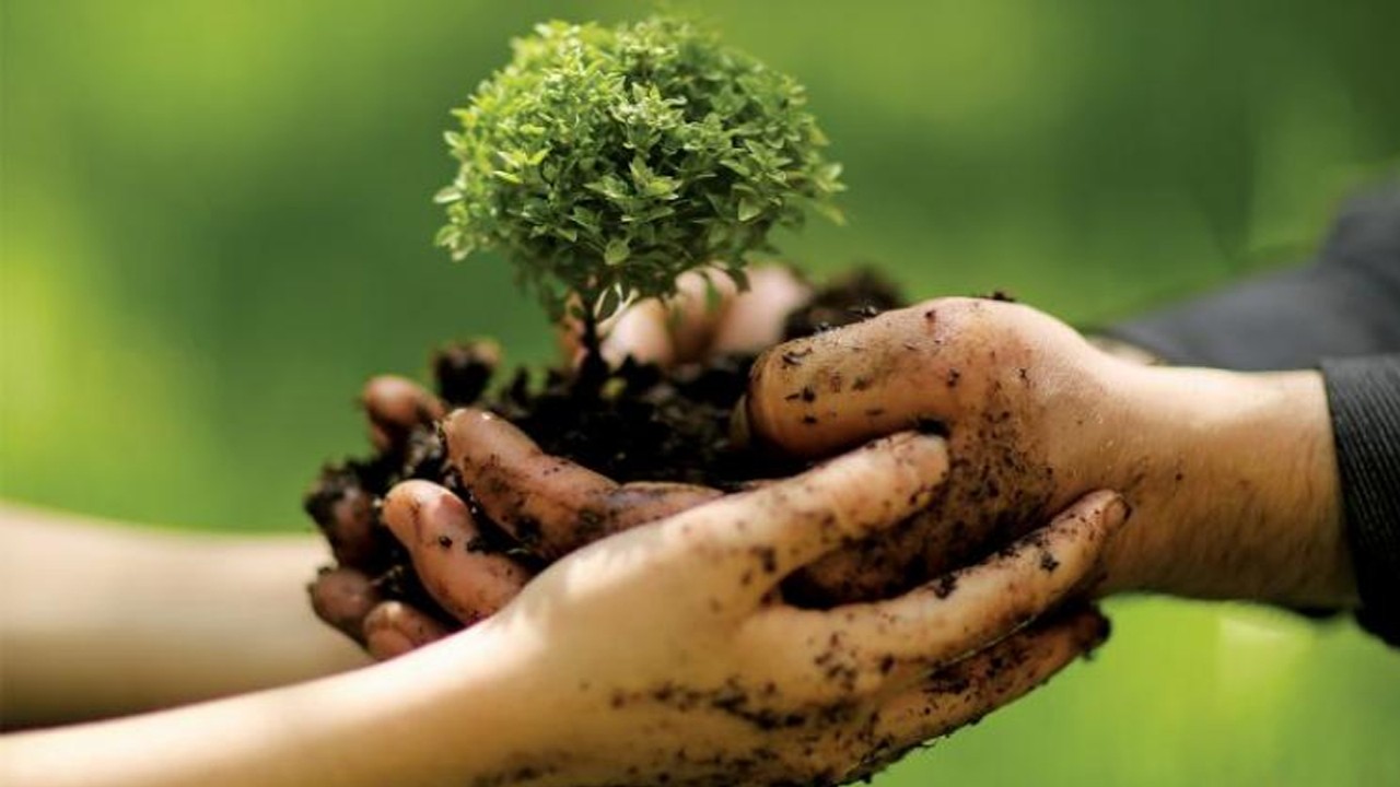 Ilustrasi, menanam pohon salah satu cara merawat alam. (cempakafoundation.org)