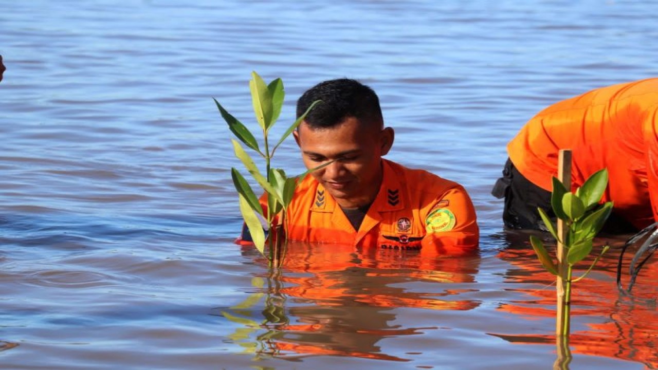 Aksi tanam bakau oleh Basarnas di Pantai Pering, Penagi, Natuna, Kepri, Selasa (14/2/2023). (ANTARA/HO-Basarnas Natuna/Cherman)