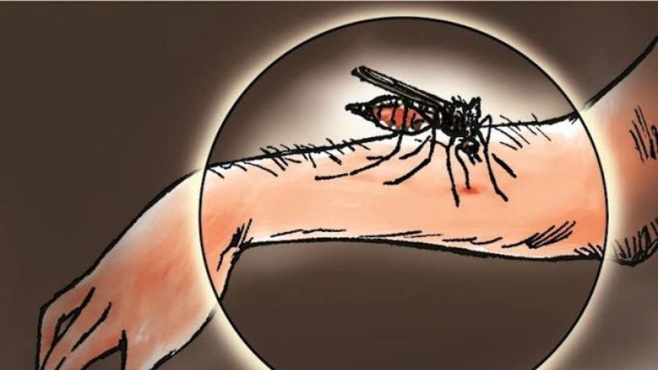 Ilustrasi, Aktivitas penambangan bijih timah rakyat marak sebagai pemicu kasus malaria 2022 mencapai 123 orang atau meningkat dibandingkan tahun sebelumnya 104 kasus. (Antara)
