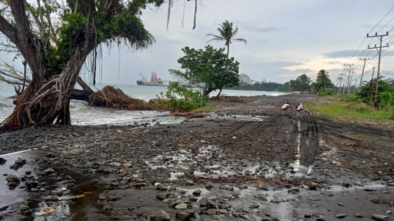 Akibat ombak tinggi Kerikil dan pasir memenuhi ruas jalan trans papua barat (ANTARA/Tri Adi Santoso)
