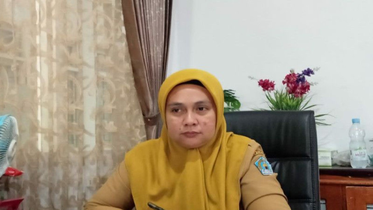 Kepala Bidang Pencegahan dan Pengendalian Penyakit (P2P) Dinkes Kendari Ellfi, Rabu (22/2/2023). (ANTARA/Harianto)