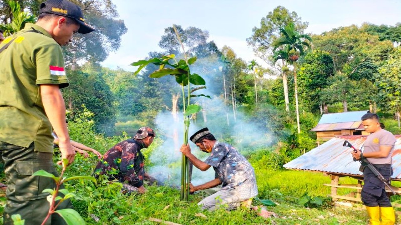 Pawang harimau Jauhari melakukan prosesi pengusiran harimau di Desa Meudheun Kecamatan Jaya Kabupaten Aceh Jaya, Rabu (22/2/2023). (ANTARA/HO)