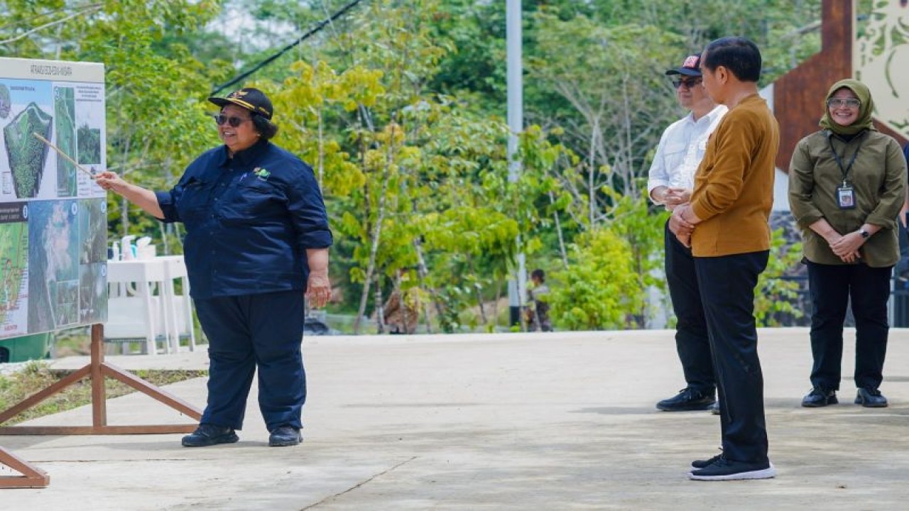 Menteri Lingkungan Hidup dan Kehutanan Siti Nurbaya (kiri) menjelaskan tentang Persemaian Mentawir kepada Presiden Joko Widodo (kanan) di Penajam Paser Utara, Kalimantan Timur, Kamis (23/2/2023). (ANTARA/HO-Kementerian LHK)