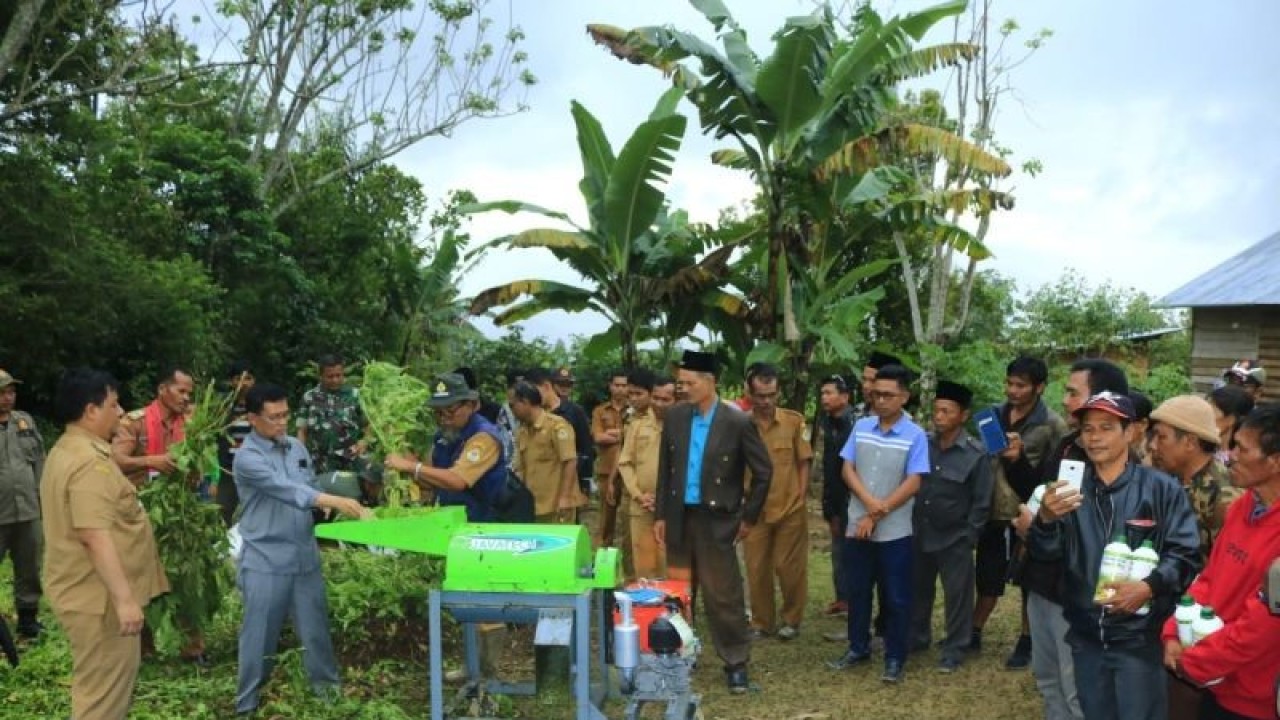 Bupati Samosir vandiko gultom saat menyaksikan proses pembuatan pupuk organik (ANTARA/HO)