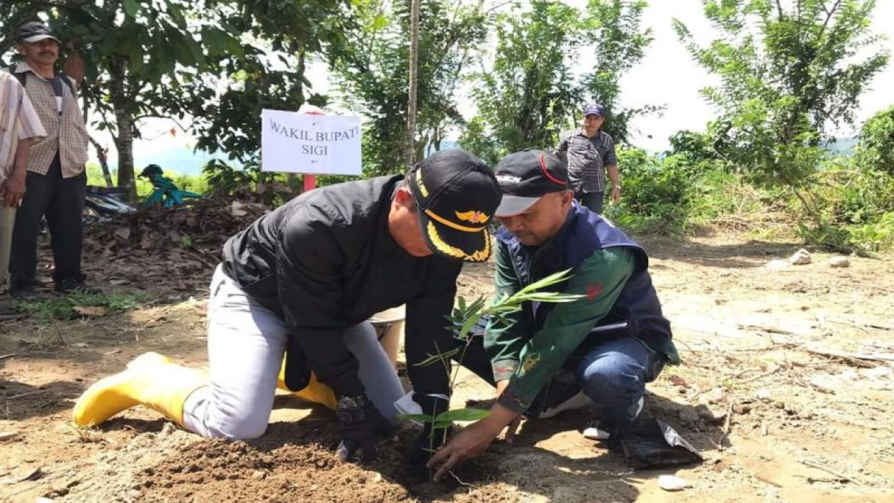 Wakil Bupati Sigi Samuel Yansen Pongi (kanan) didampingi Kepala Dinas TPHP Sigi Rahmad Iqbal menanam bambu di bantaran sungai di Desa Lawua, Kecamatan Kulawi Selatan. (ANTARA/HO-Dok Prokopim Setda Pemkab Sigi)