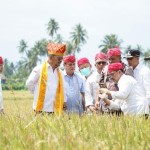 Pemkab Sigi upayakan perluasan area tanam padi-1676880471