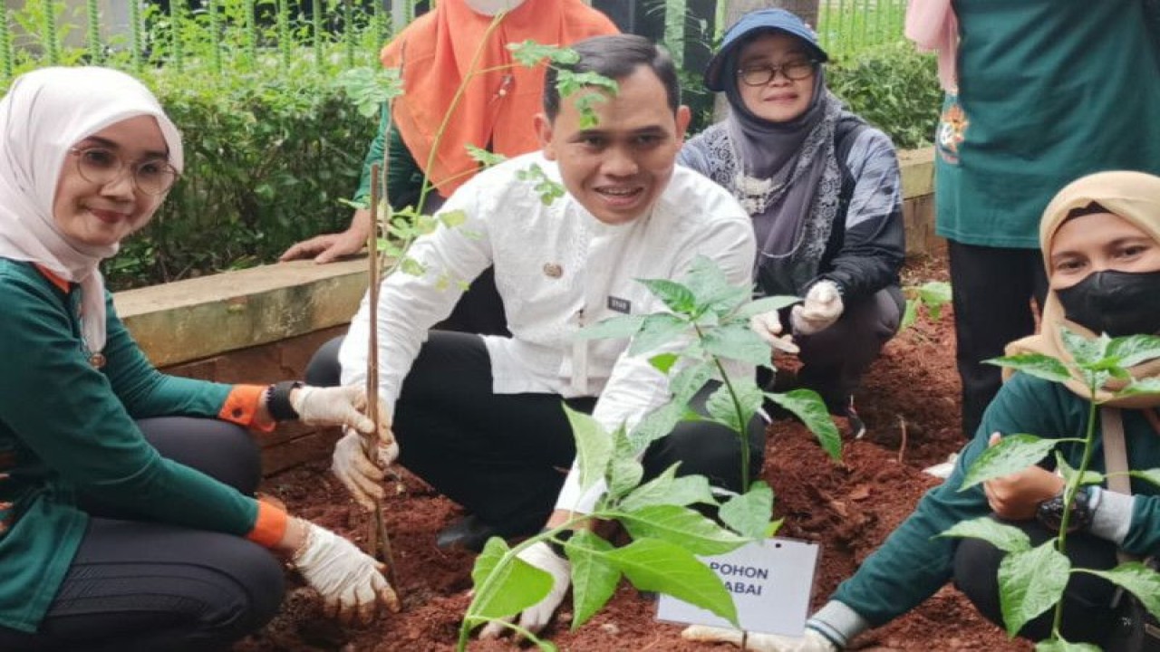 Camat Tebet Dyan Erlangga menanam sejumlah tanaman produktif di kantor Kecamatan Tebet, Jakarta Selatan, Rabu (8/2/2023). ANTARA/HO-Kecamatan Tebet