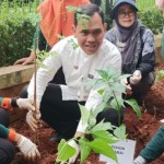 Pemkot Jaksel tanam kelor untuk cegah tengkes-1675827668