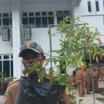 Pemprov Papua dorong ASN tanam cabai di pekarangan rumah-1676281293