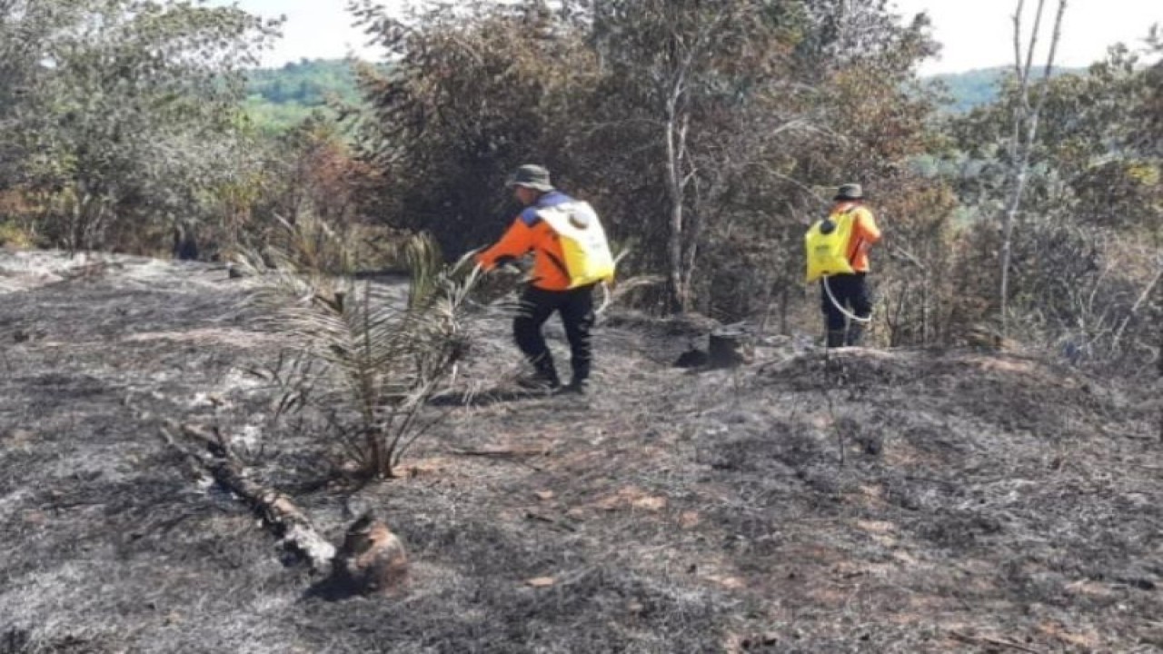 Pemrov Riau mengajukan permohonan bantuan sarana dan prasarana pemadaman api di Riau untuk mengantisipasi karhutla . Antara.