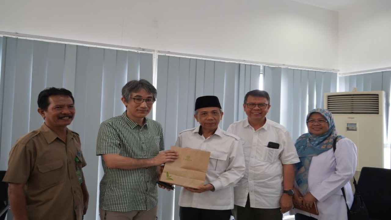 Tim peneliti dari Japan International Research Center for Agricultural Sciences (JIRCAS), Jepang, Badan Riset dan Inovasi Nasional (BRIN), dan Universitas Gadjah Mada (UGM) melakukan penelitian terhadap sampel genetik tanaman sengon di Institut Teknologi Sumatera (Itera). Bandarlampung, Senin, (20/2/2023). (ANTARA/HO-Humas Itera)