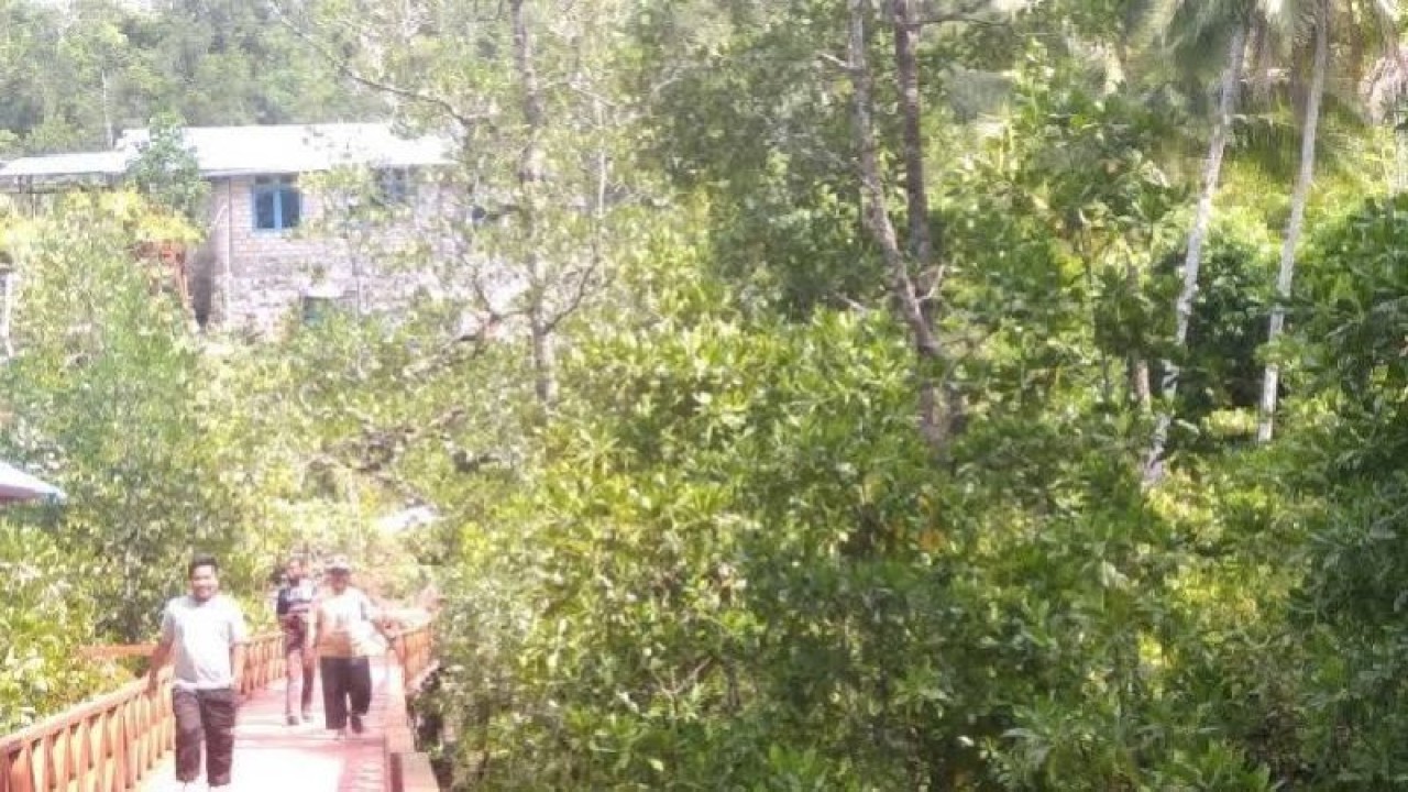 Pengunjung menikmati keasrian di Taman Wisata Mangrove di Kampung Ruar Biak. ANTARA/Muhsidin