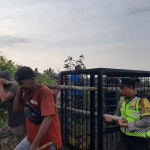 perangkap-1677486634