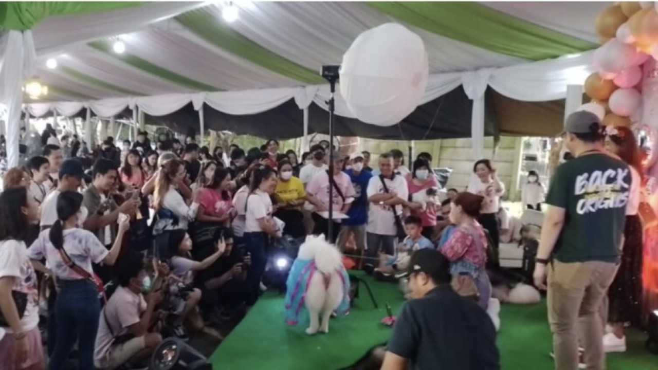 Perayaan Ultah "Arken" Dibanjiri  Peserta Lomba