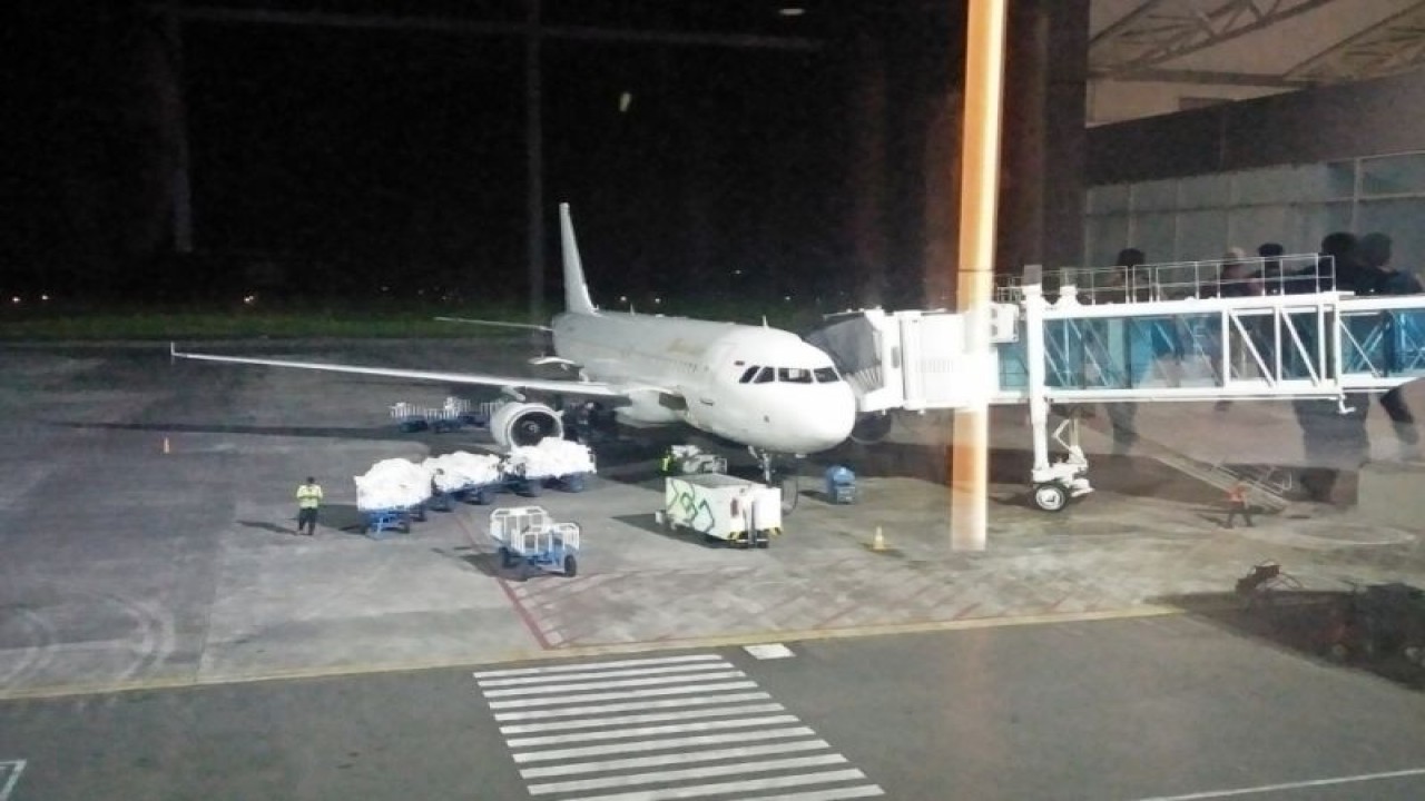 Pesawat di Bandara Internasional Lombok, Nusa Tenggara Barat. (ANTARA/Akhyar)