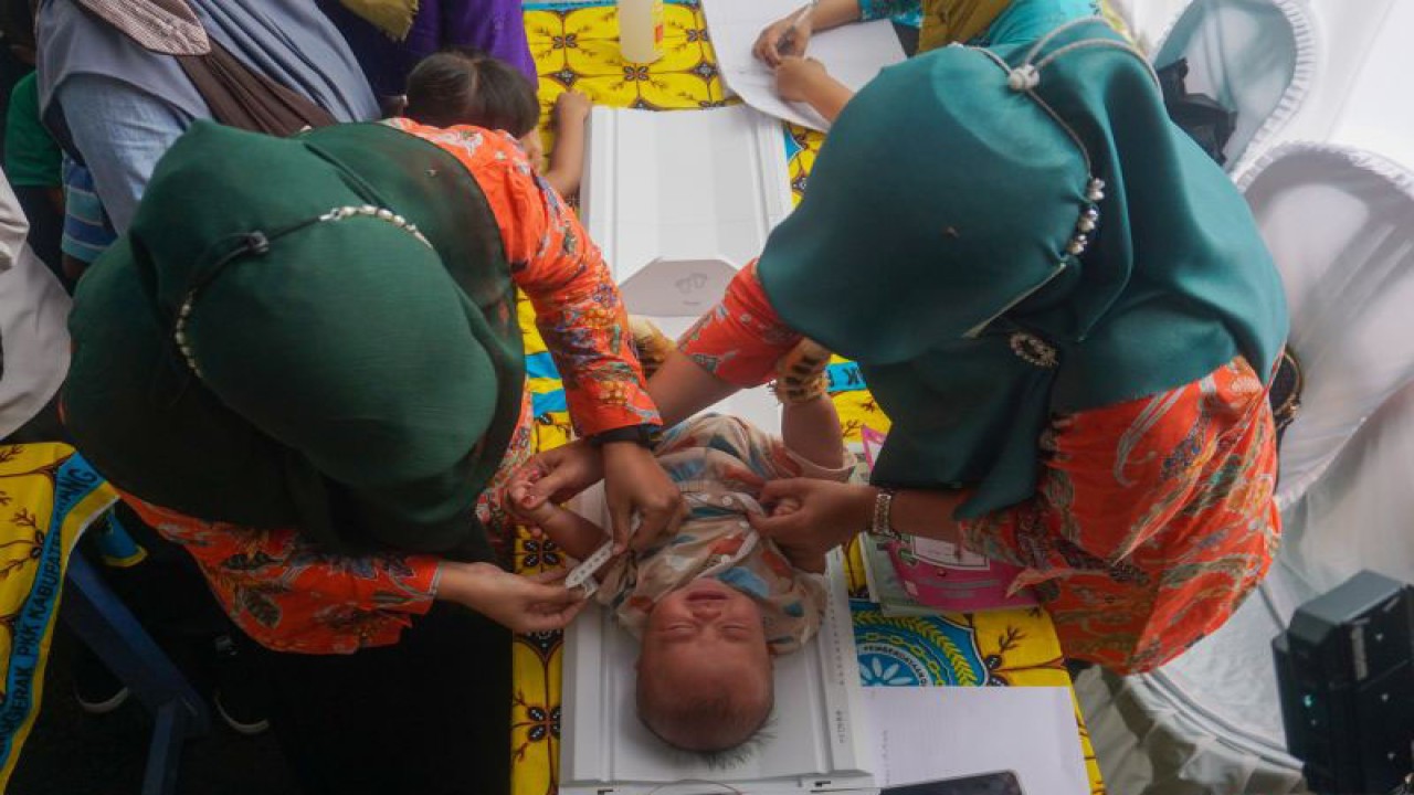 Arsip Foto. Petugas kesehatan mengukur lingkar lengan bayi dalam kegiatan penimbangan bayi serentak di Desa Sidomulyo, Limpung, Kabupaten Batang, Provinsi Jawa Tengah, Kamis (2/2/2023). (ANTARA FOTO/Harviyan Perdana Putra/aww)