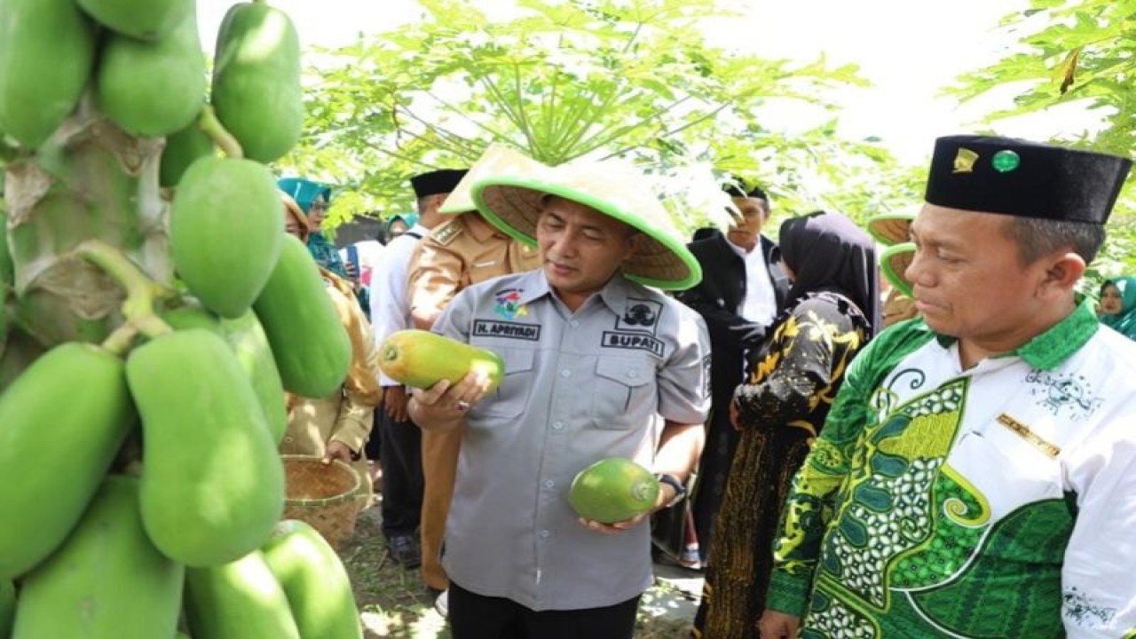 Pj Bupati Muba Apriyadi Mahmud. ANTARA/HO-Diskominfo Muba