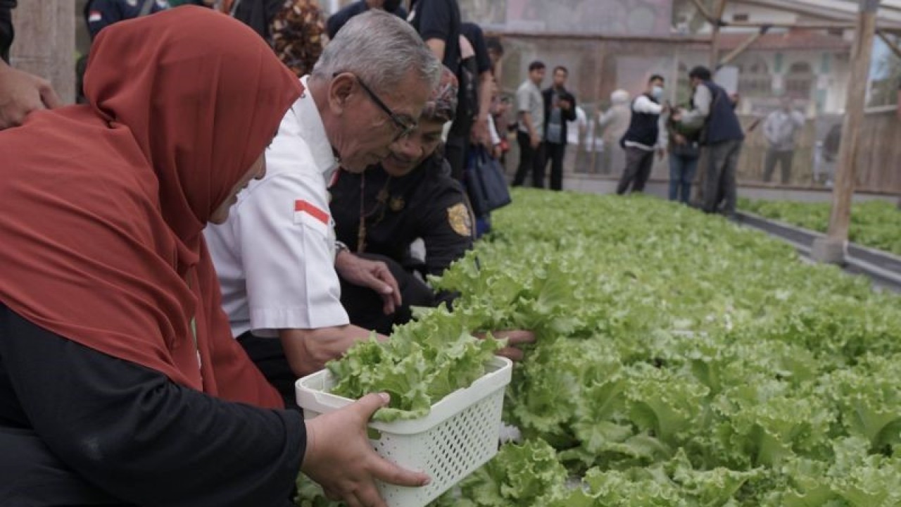 Pengurus PMI Pusat Letjen (Purn) Sumarsono bersama Efarming Corpora saat meninjau lokasi pertanian yang mengaplikasikan ecoenzyme di pertanian hidroponik Pontis, Desa Balekambang, Kecamatan Nagrak, Kabupaten Sukabumi, Jabar pada Sabtu, (25/2/2023). Antara/Aditya Rohman