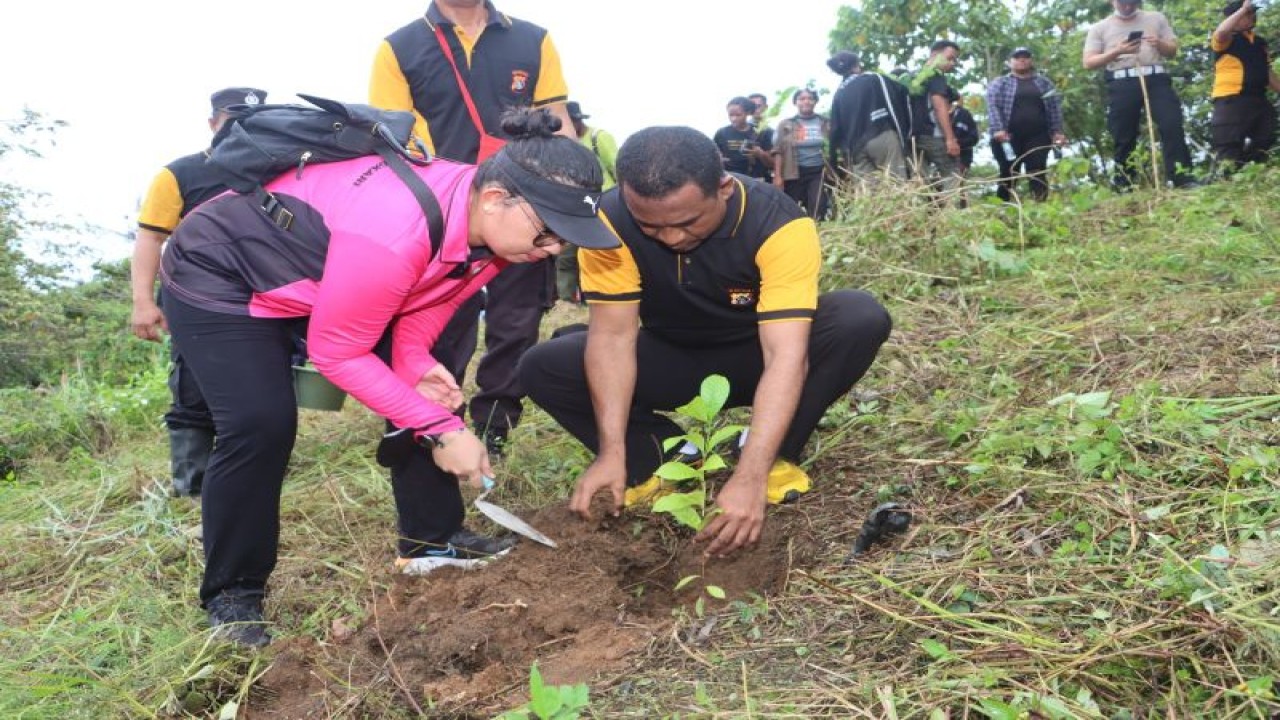 Kapolres Jayapura AKBP Frederickus Maclarimboen (kanan) saat menanam bibit pohon di Bukit Umang. ANTARA/HO-Humas Polres Jayapura