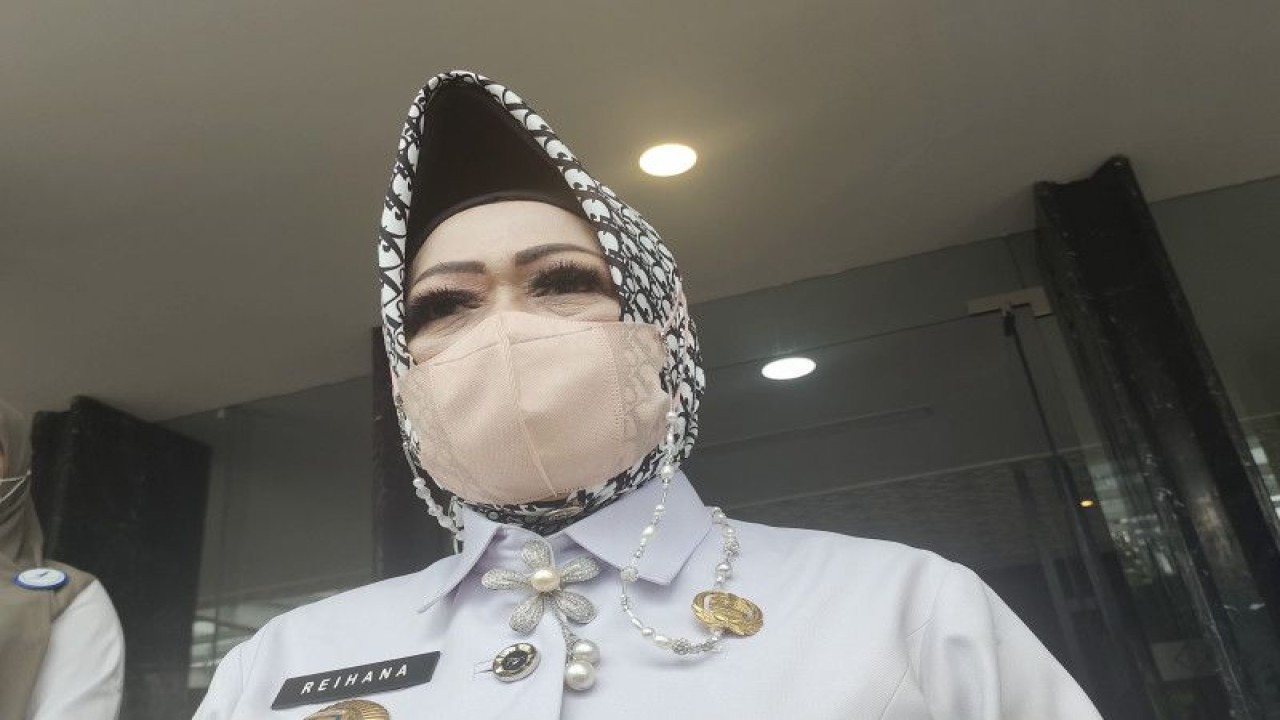 Arsip- Kepala Dinas Kesehatan Provinsi Lampung Reihana saat memberi keterangan. ANTARA/Ruth Intan Sozometa Kanafi.