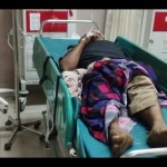 Satu tewas setelah pohon kelapa tumbang menimpa pasutri di Sukabumi-1676339953