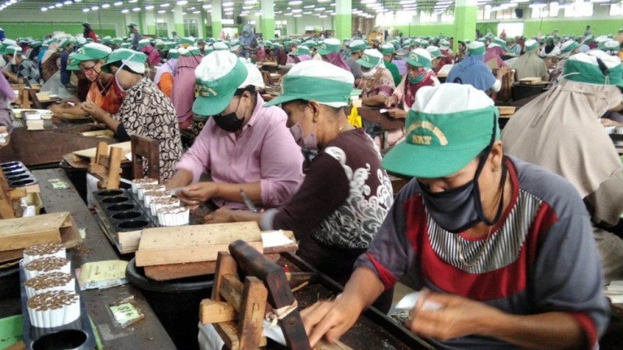Sejumlah pekerja rokok di Kabupaten Kudus, Jawa Tengah. (ANTARA/Akhmad Nazaruddin Lathif)