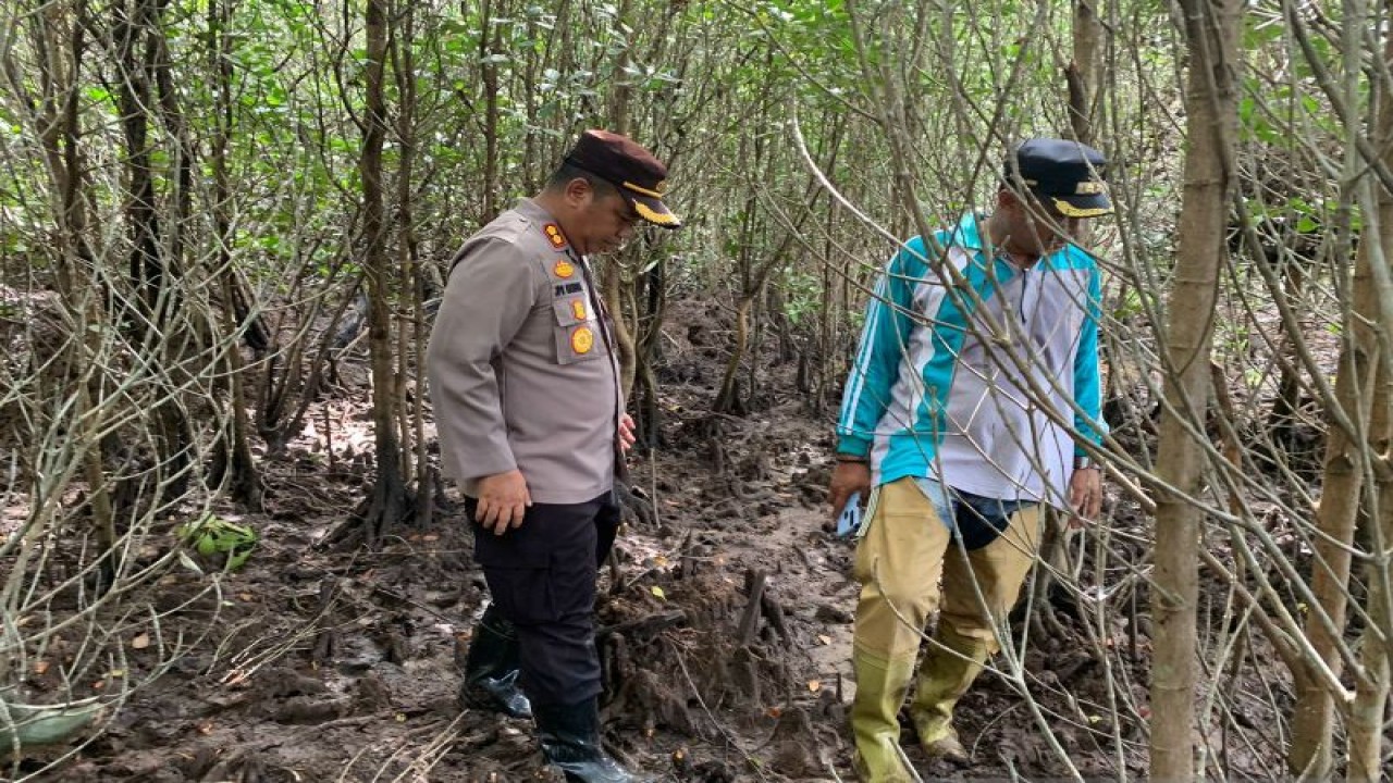 Aparat gabungan TNI, Polri, SAR dan Tagana serta Pemerintah Desa Bulalo, melakukan upaya pencarian satu orang warga Gorontalo Utara yang hilang di kawasan hutan bakau Dusun Hulapa Pantai. ANTARA/Susanti Sako.