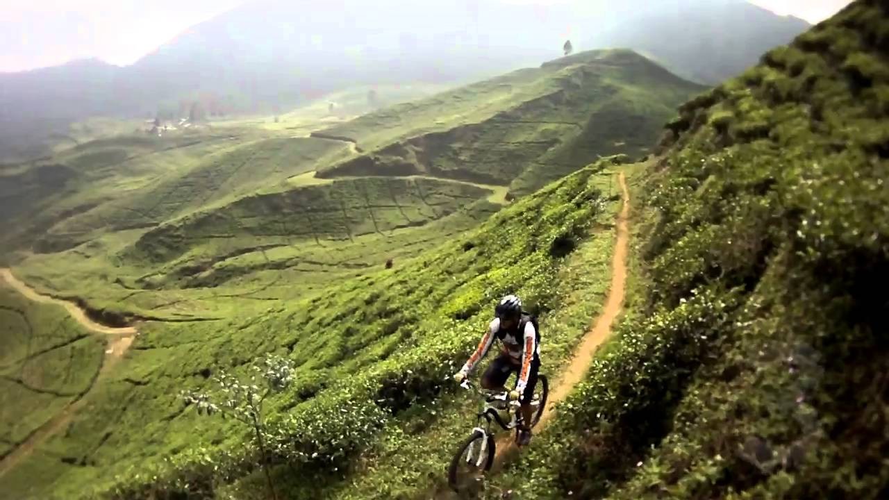 Ilustrasi bersepeda di alam bebas/ist