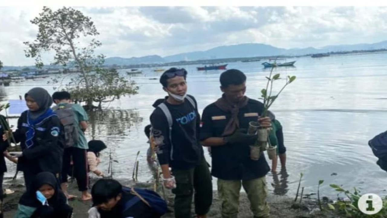 Ratusan siswa pecinta alam tanam 1.000 mangrove di Teluk Lampung (ANTARA/HO)