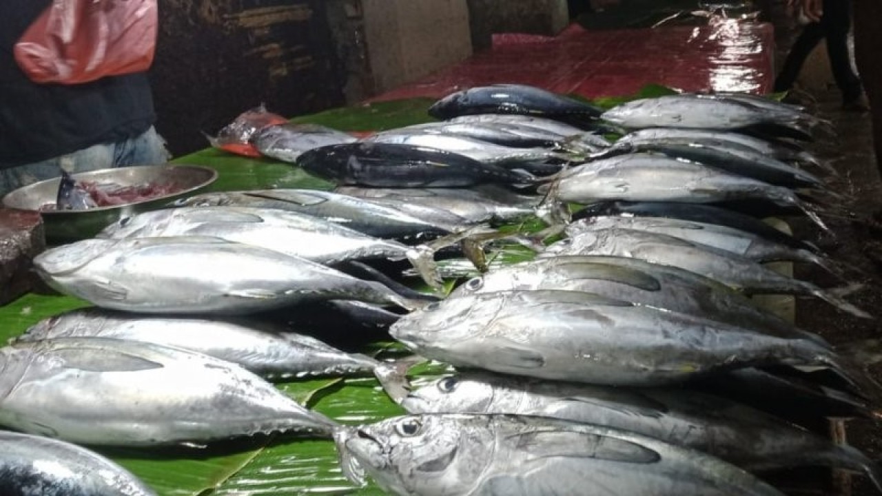 Jajakan ikan jenis cakalang dan ikan tuna ekor kuning yang didagangkan di pasar tradisional karya Nugraha Baubau, Minggu. (Foto Antara/Yusran)