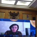 Sri Mulyani instruksikan inspektorat jenderal periksa harta RAT-1677216628
