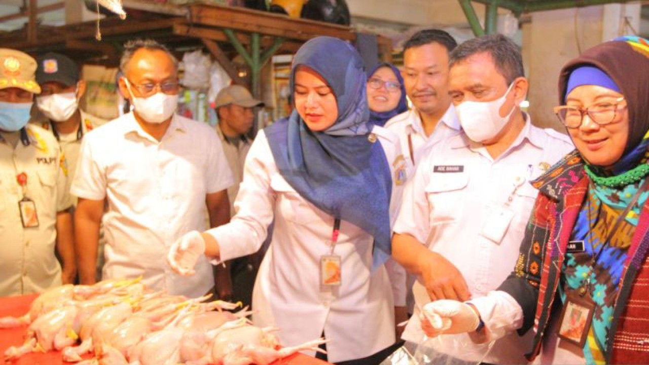 Pelaksana tugas (Plt) Kasie Pertanian Sudin Ketahanan Pangan, Kelautan, dan Perikanan (KPKP) Jakarta Timur Siti Halimah saat inspeksi mendadak (sidak) di salah satu pasar di Jakarta Timur, Rabu (22/2/2023). ANTARA/HO-Kominfotik Jakarta Timur