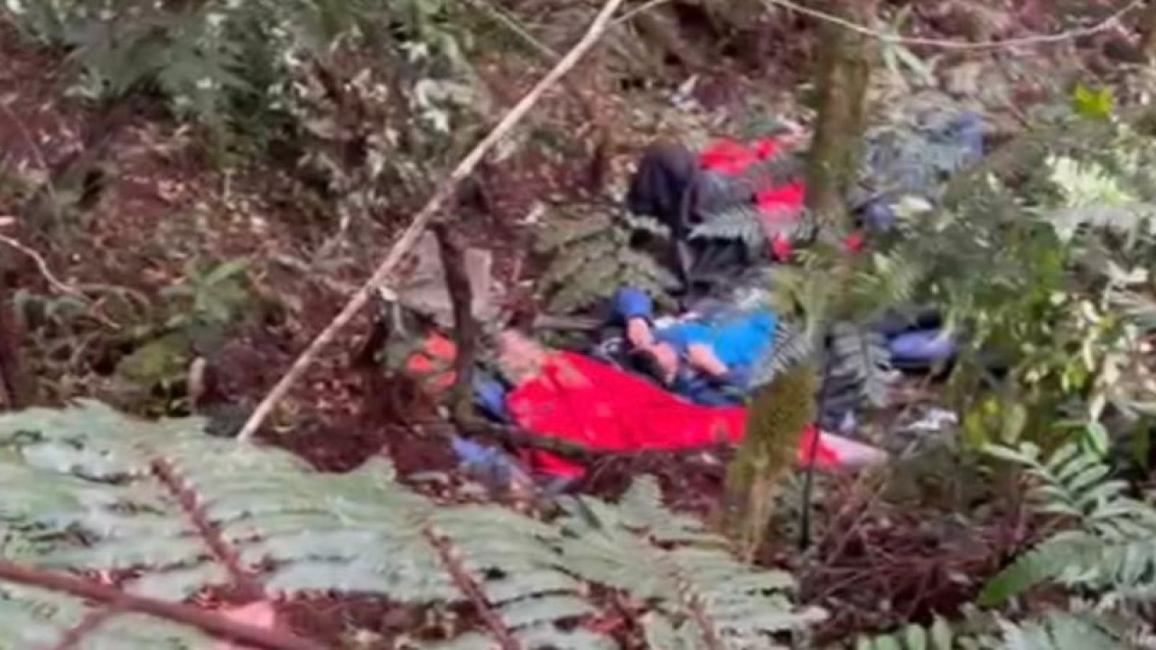 Tim SAR sudah berada di lokasi jatuhnya Helikopter yang ditumpabgi Kapolda Jambi Irjen Pol Rusdi Hartono dan pejabat di Kerinci, Jambi, Senin (20/2/23).(ANTARA/HO/SAR)