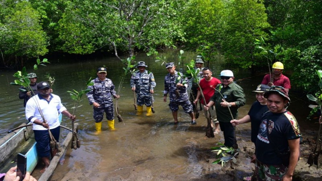 Pangkalan Utama TNI Angkatan Laut VIII melaksanakan penanaman mangrove di Desa Palaes. ANTARA/HO-Dispen Lantamal VIII (1)